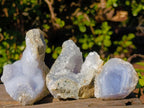 Natural Small Blue Lace Agate Specimens x 24 From Nsanje, Malawi - Toprock Gemstones and Minerals 