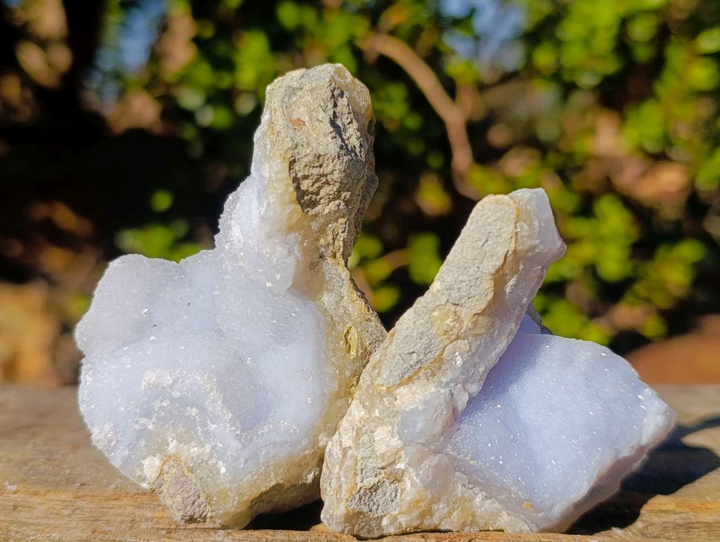 Natural Small Blue Lace Agate Specimens x 24 From Nsanje, Malawi - Toprock Gemstones and Minerals 