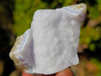 Natural Small Blue Lace Agate Specimens x 24 From Nsanje, Malawi - Toprock Gemstones and Minerals 