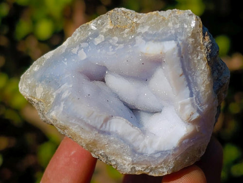 Natural Small Blue Lace Agate Specimens x 24 From Nsanje, Malawi - Toprock Gemstones and Minerals 
