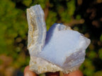 Natural Small Blue Lace Agate Specimens x 24 From Nsanje, Malawi - Toprock Gemstones and Minerals 