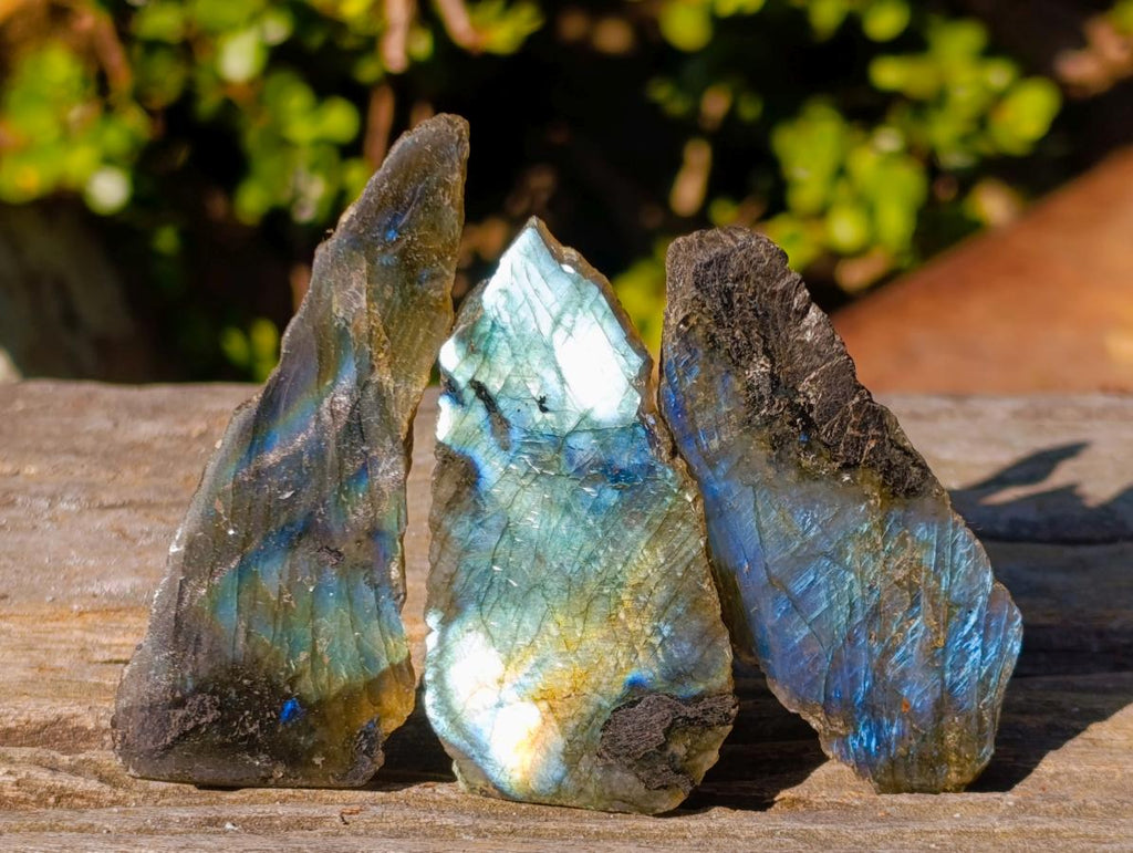 Polished One Side Labradorite Slices x 35 From Madagascar - Toprock Gemstones and Minerals 