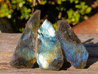 Polished One Side Labradorite Slices x 35 From Madagascar - Toprock Gemstones and Minerals 
