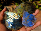 Polished One Side Labradorite Slices x 35 From Madagascar - Toprock Gemstones and Minerals 
