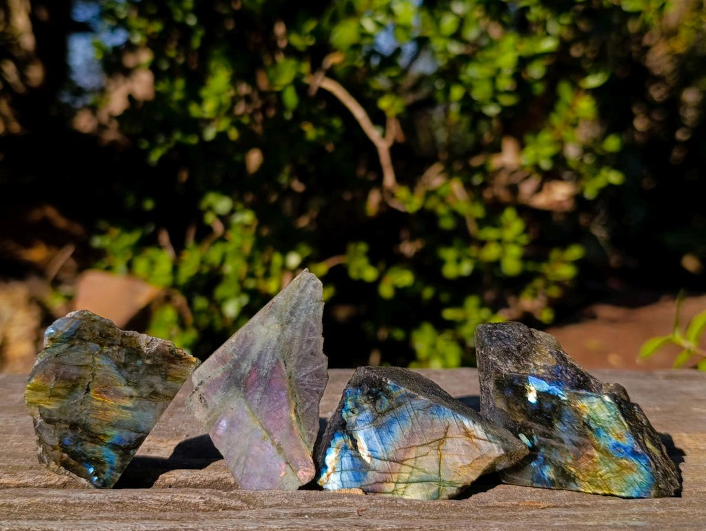 Polished One Side Labradorite Slices x 35 From Madagascar - Toprock Gemstones and Minerals 