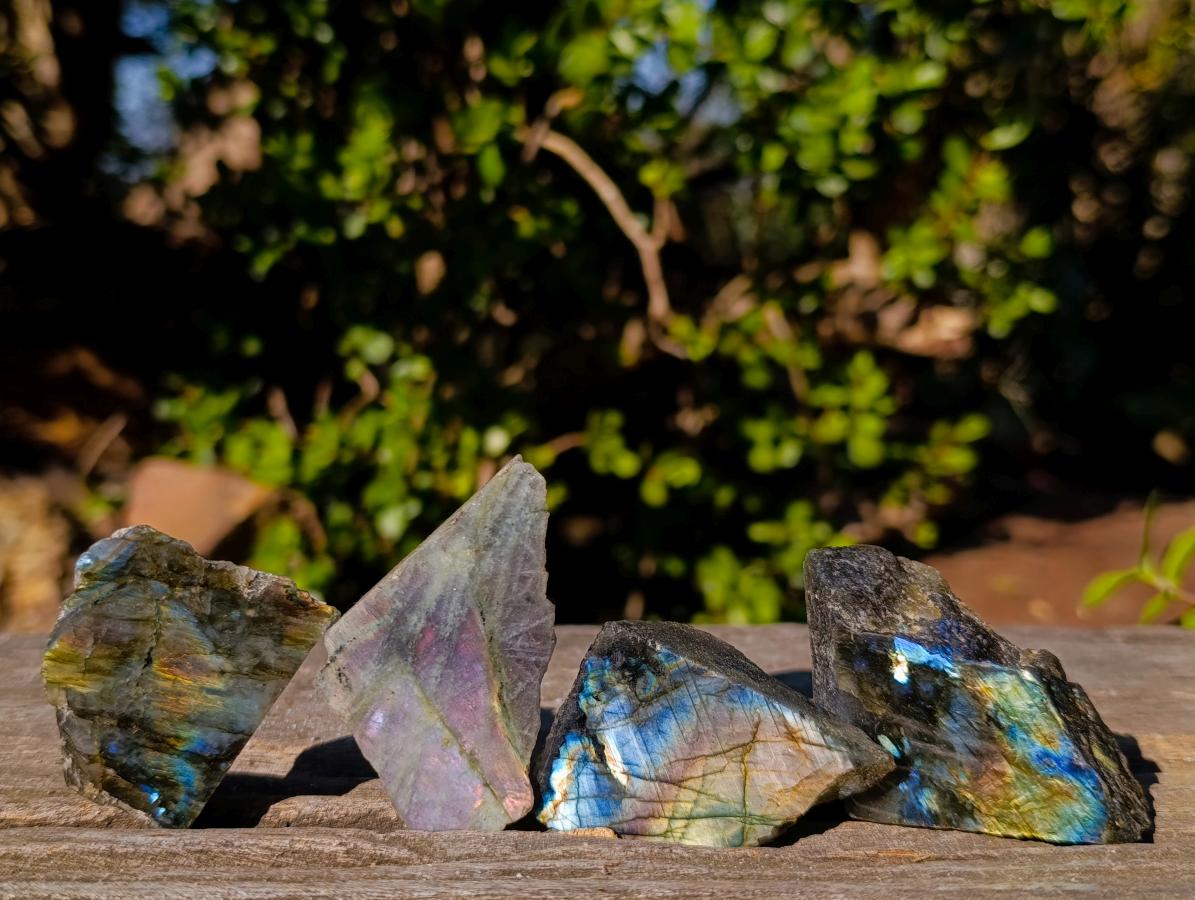 Polished One Side Labradorite Slices x 35 From Madagascar - Toprock Gemstones and Minerals 