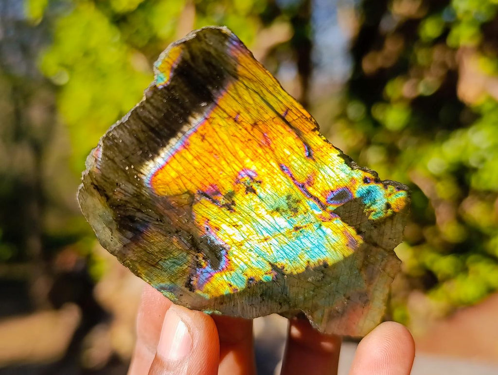 Polished One Side Labradorite Slices x 35 From Madagascar - Toprock Gemstones and Minerals 