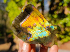 Polished One Side Labradorite Slices x 35 From Madagascar - Toprock Gemstones and Minerals 