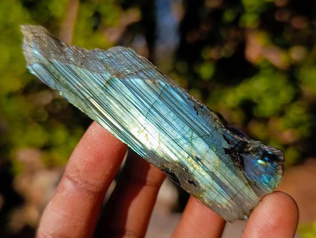 Polished One Side Labradorite Slices x 35 From Madagascar - Toprock Gemstones and Minerals 
