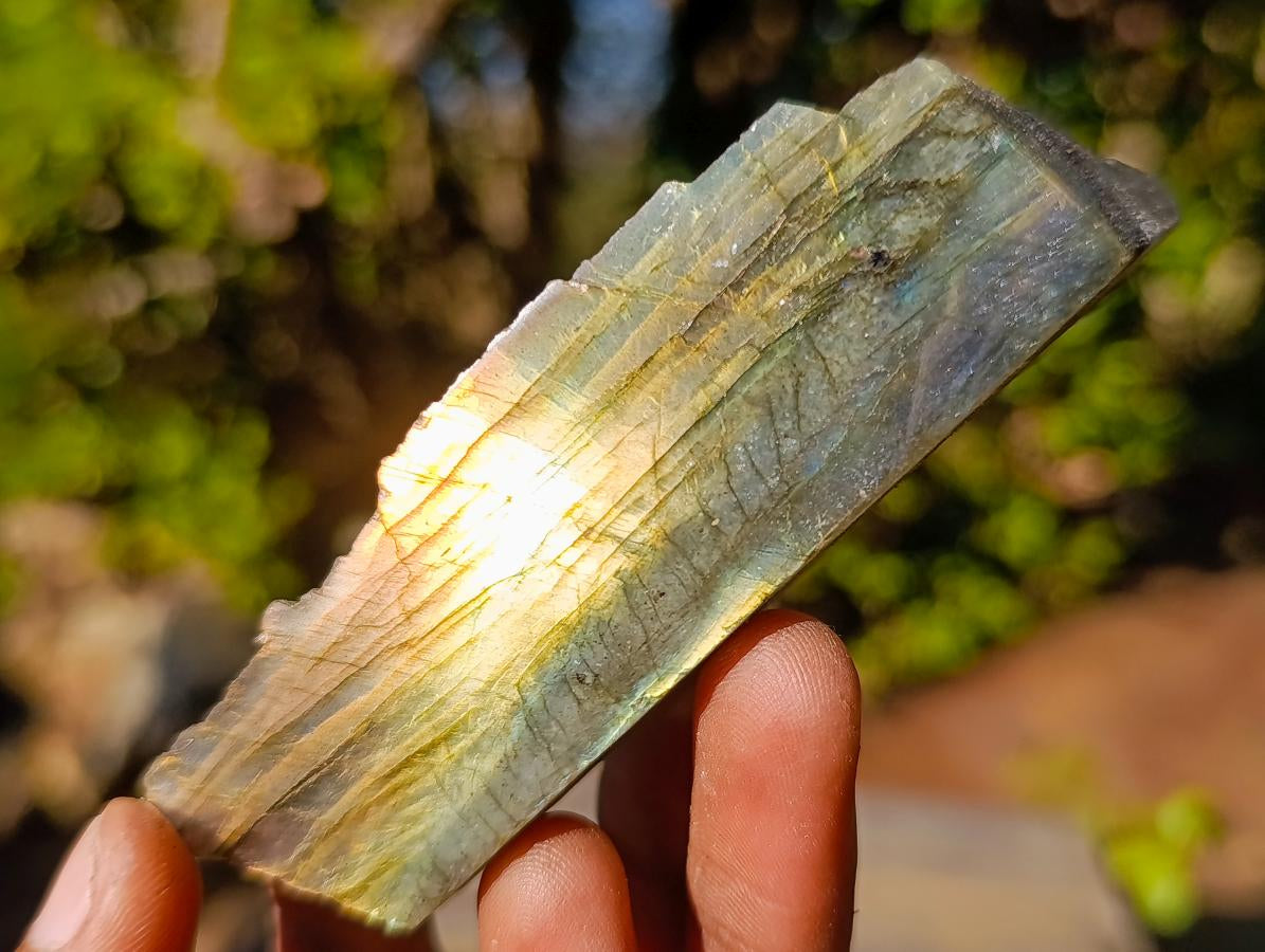 Polished One Side Labradorite Slices x 35 From Madagascar - Toprock Gemstones and Minerals 