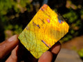 Polished One Side Labradorite Slices x 35 From Madagascar - Toprock Gemstones and Minerals 