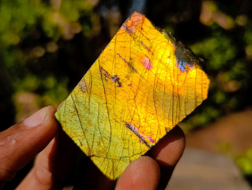 Polished One Side Labradorite Slices x 35 From Madagascar - Toprock Gemstones and Minerals 