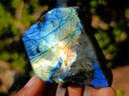 Polished One Side Labradorite Slices x 35 From Madagascar - Toprock Gemstones and Minerals 