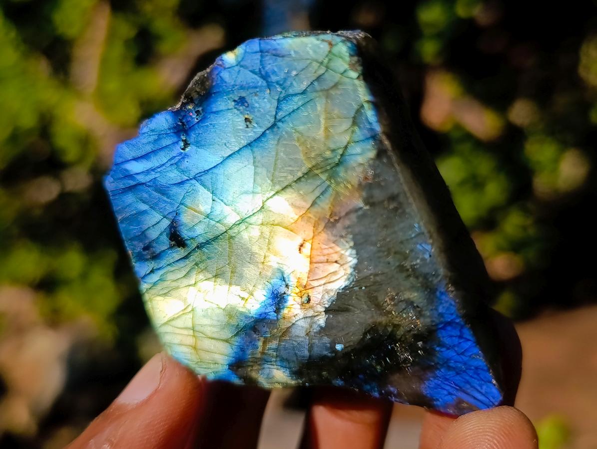 Polished One Side Labradorite Slices x 35 From Madagascar - Toprock Gemstones and Minerals 