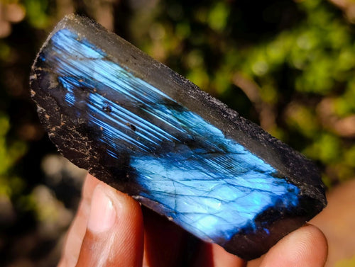 Polished One Side Labradorite Slices x 35 From Madagascar - Toprock Gemstones and Minerals 