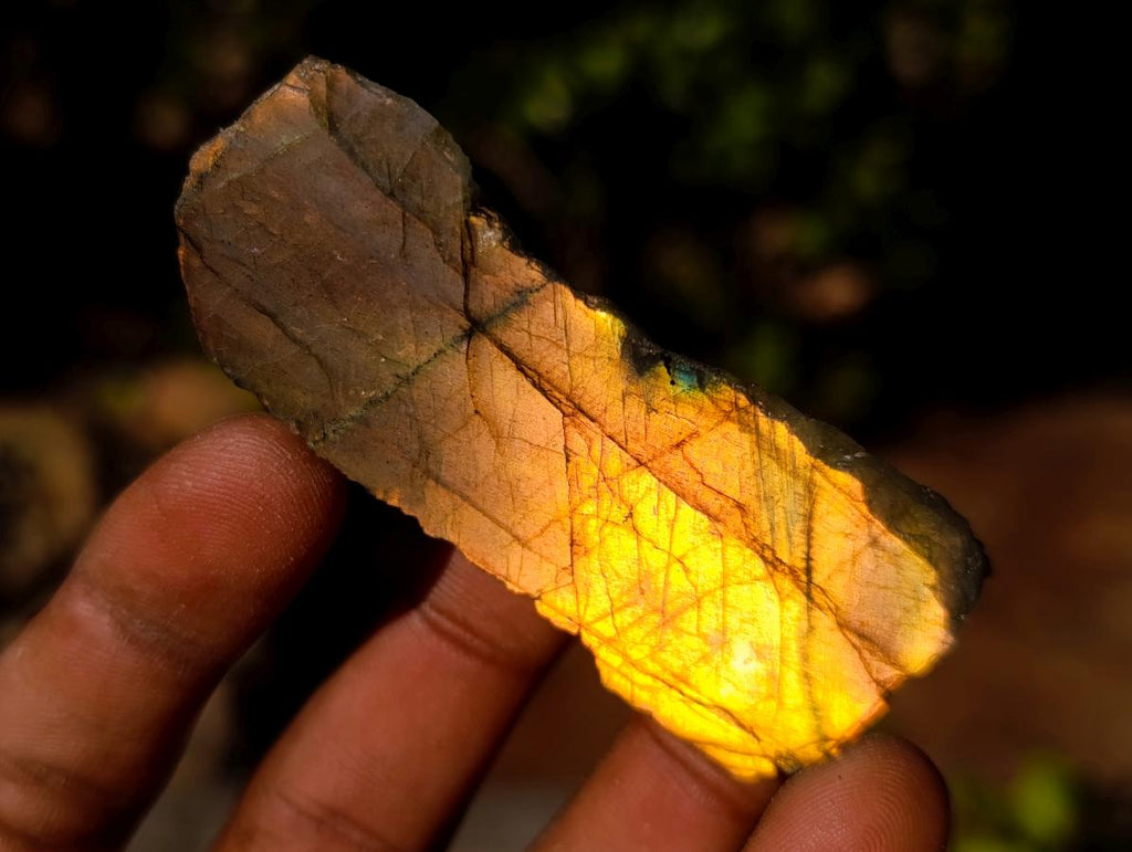 Polished One Side Labradorite Slices x 35 From Madagascar - Toprock Gemstones and Minerals 
