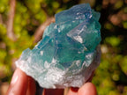 Natural Green Cubic Fluorite Specimens x 16 From Mandrosonoro, Madagascar - Toprock Gemstones and Minerals 