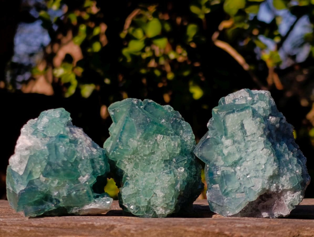Natural Green Cubic Fluorite Specimens x 16 From Mandrosonoro, Madagascar - Toprock Gemstones and Minerals 