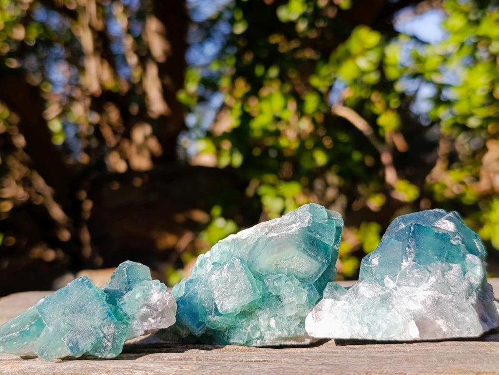 Natural Green Cubic Fluorite Specimens x 16 From Mandrosonoro, Madagascar - Toprock Gemstones and Minerals 