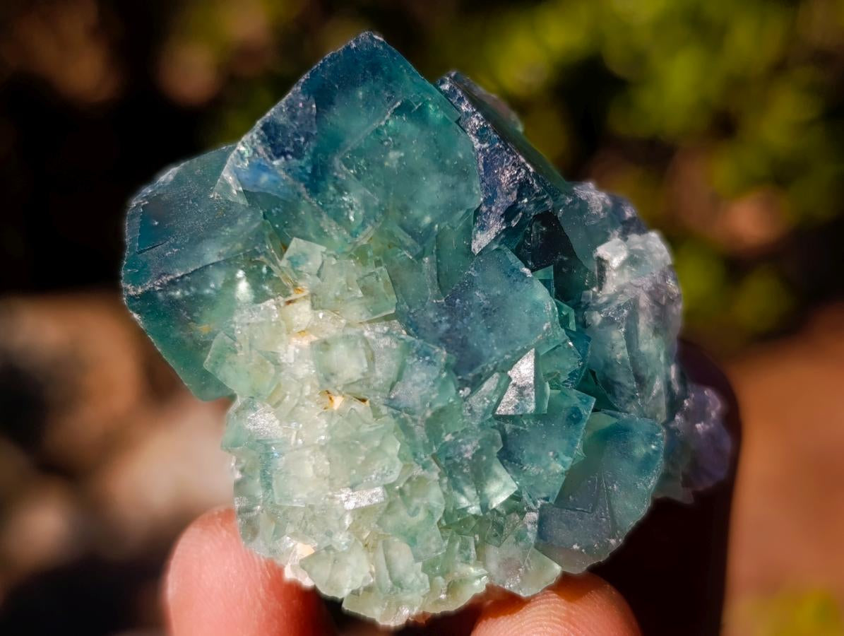Natural Green Cubic Fluorite Specimens x 16 From Mandrosonoro, Madagascar - Toprock Gemstones and Minerals 