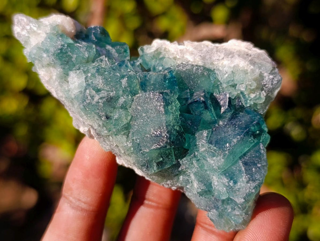 Natural Green Cubic Fluorite Specimens x 16 From Mandrosonoro, Madagascar - Toprock Gemstones and Minerals 