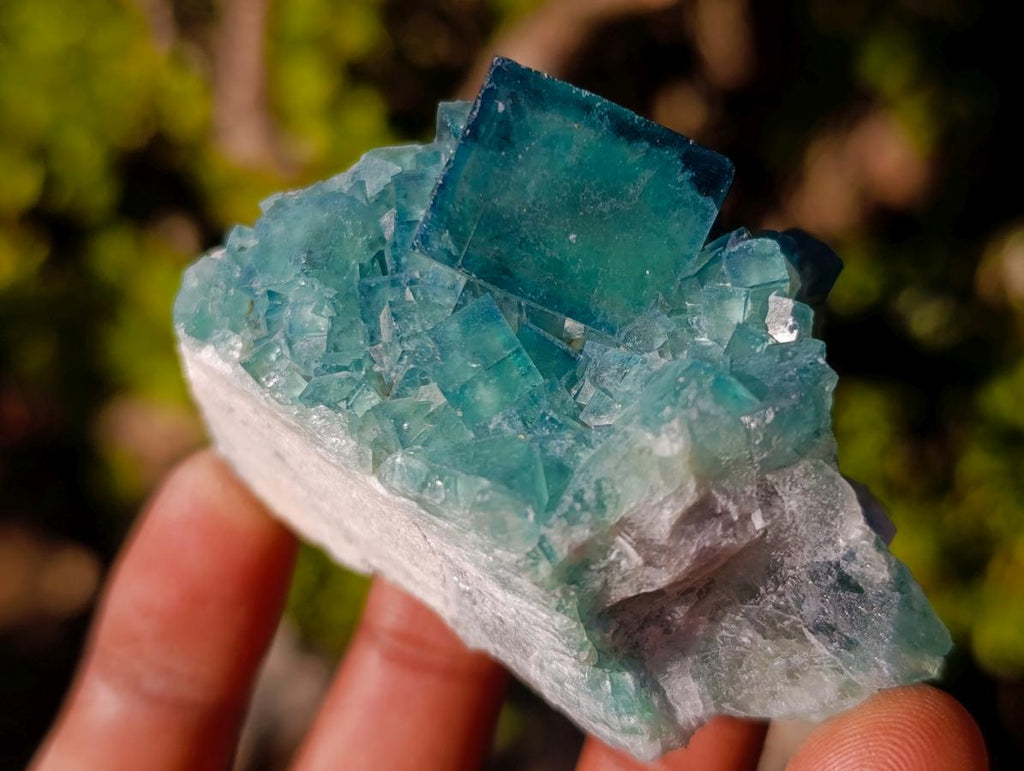 Natural Green Cubic Fluorite Specimens x 16 From Mandrosonoro, Madagascar - Toprock Gemstones and Minerals 