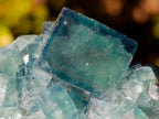 Natural Green Cubic Fluorite Specimens x 16 From Mandrosonoro, Madagascar - Toprock Gemstones and Minerals 