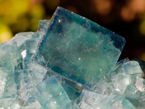 Natural Green Cubic Fluorite Specimens x 16 From Mandrosonoro, Madagascar - Toprock Gemstones and Minerals 