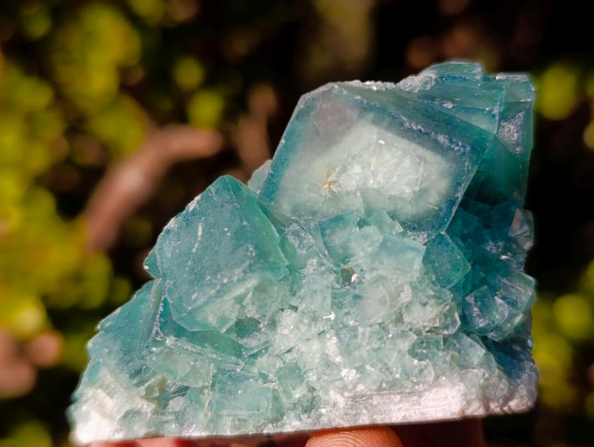 Natural Green Cubic Fluorite Specimens x 16 From Mandrosonoro, Madagascar - Toprock Gemstones and Minerals 