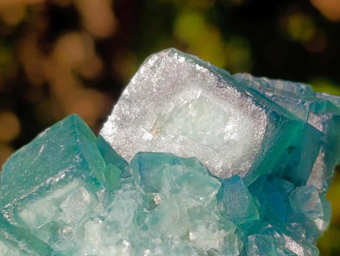 Natural Green Cubic Fluorite Specimens x 16 From Mandrosonoro, Madagascar - Toprock Gemstones and Minerals 