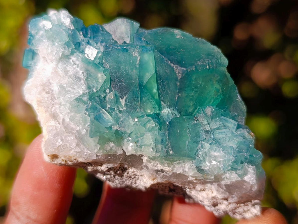 Natural Green Cubic Fluorite Specimens x 16 From Mandrosonoro, Madagascar - Toprock Gemstones and Minerals 