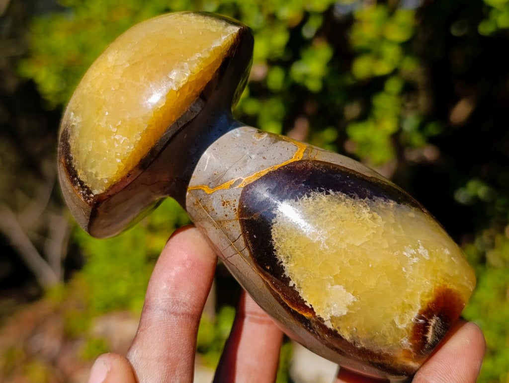 Polished Septerye Mushrooms x 4 From Mahajanga, Madagascar - Toprock Gemstones and Minerals 