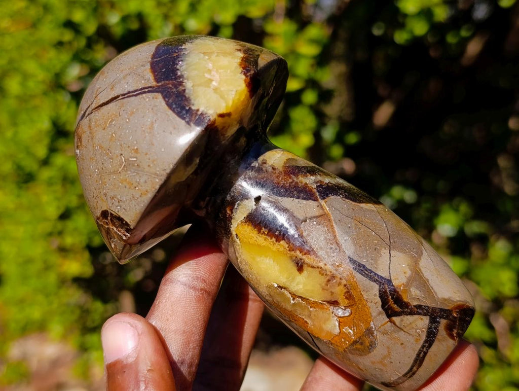 Polished Septerye Mushrooms x 4 From Mahajanga, Madagascar - Toprock Gemstones and Minerals 