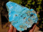 Natural Cabinet Sized Drusy Coated Chrysocolla Specimens x 3 From Lupoto Mine, Congo - Toprock Gemstones and Minerals 