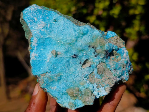 Natural Cabinet Sized Drusy Coated Chrysocolla Specimens x 3 From Lupoto Mine, Congo - Toprock Gemstones and Minerals 