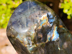 Polished Labradorite Standing Display Pieces x 3 From Madagascar - Toprock Gemstones and Minerals 