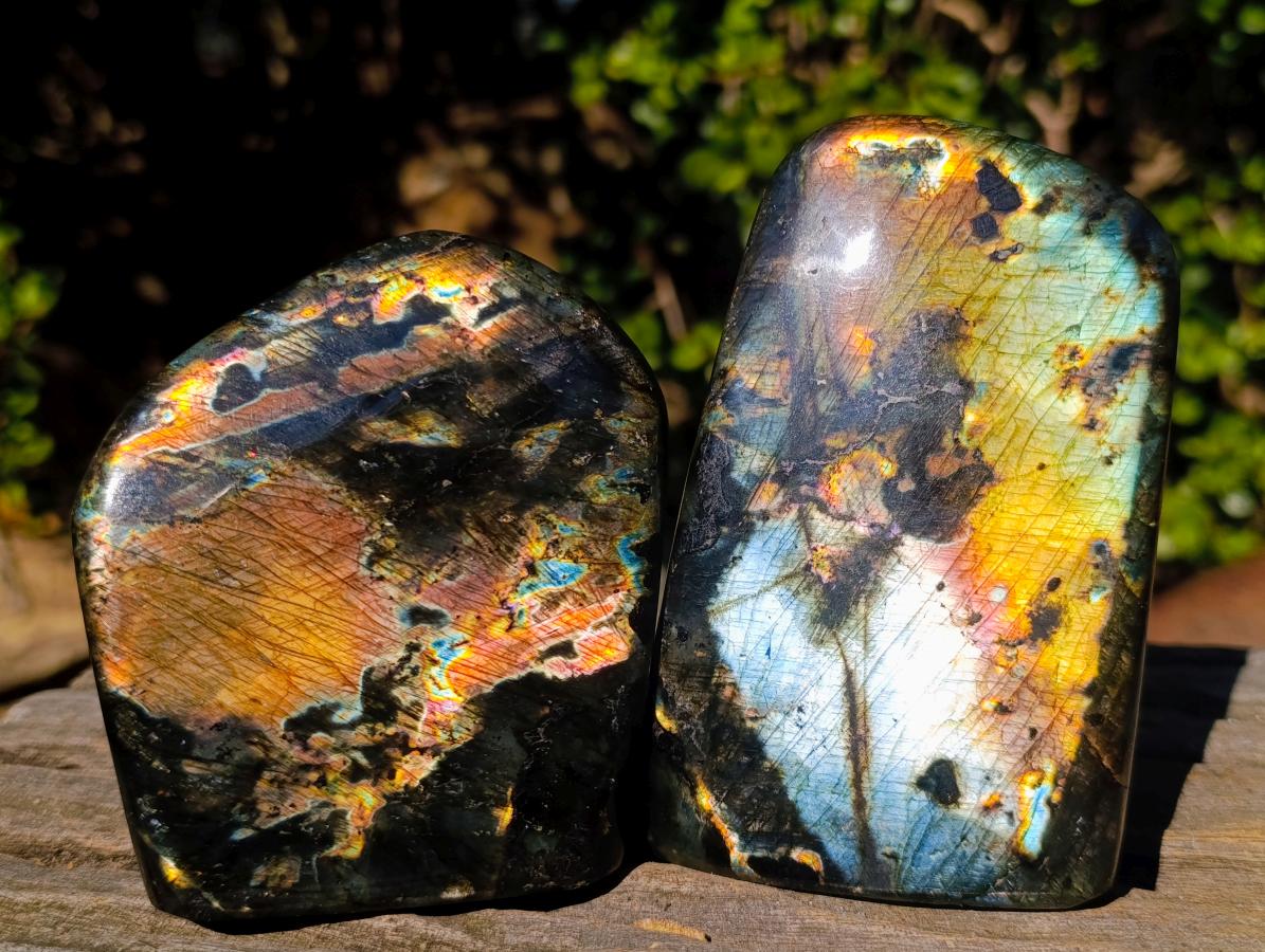 Polished Labradorite Standing Display Pieces x 3 From Madagascar - Toprock Gemstones and Minerals 