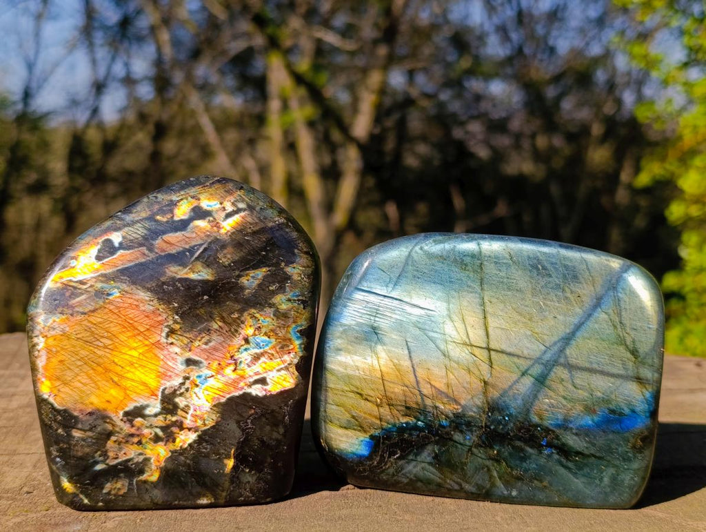 Polished Labradorite Standing Display Pieces x 3 From Madagascar - Toprock Gemstones and Minerals 