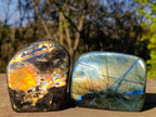 Polished Labradorite Standing Display Pieces x 3 From Madagascar - Toprock Gemstones and Minerals 