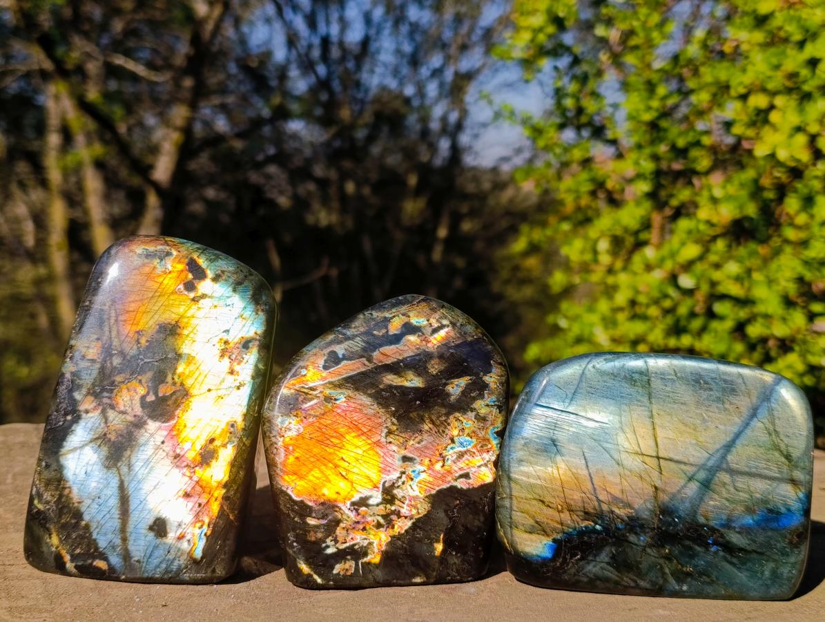 Polished Labradorite Standing Display Pieces x 3 From Madagascar - Toprock Gemstones and Minerals 