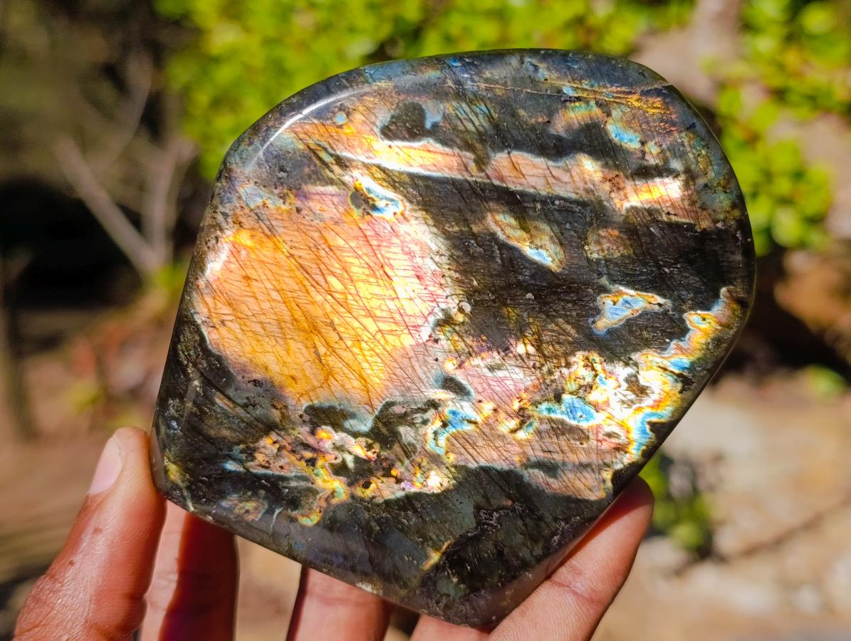 Polished Labradorite Standing Display Pieces x 3 From Madagascar - Toprock Gemstones and Minerals 