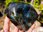 Polished Labradorite Standing Display Pieces x 3 From Madagascar - Toprock Gemstones and Minerals 