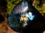 Polished Labradorite Standing Display Pieces x 3 From Madagascar - Toprock Gemstones and Minerals 