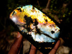 Polished Labradorite Standing Display Pieces x 3 From Madagascar - Toprock Gemstones and Minerals 