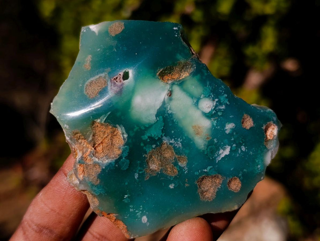 Polished on One Side Mtorolite Chrysoprase Slices x 24 From Mutorashanga, Zimbabwe - Toprock Gemstones and Minerals 