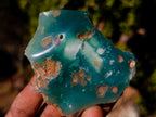 Polished on One Side Mtorolite Chrysoprase Slices x 24 From Mutorashanga, Zimbabwe - Toprock Gemstones and Minerals 