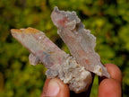 Natural Drusy Fairy Spirit Quartz Crystals x 70 From Boekenhouthoek, South Africa - Toprock Gemstones and Minerals 