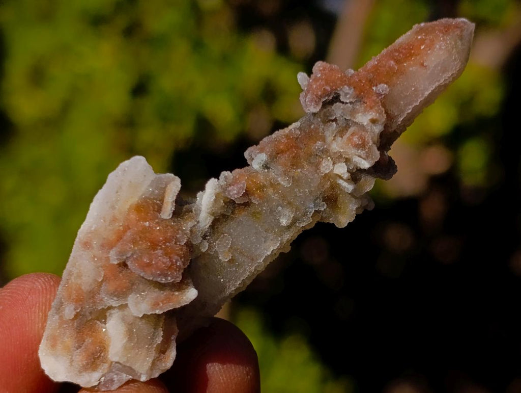 Natural Drusy Fairy Spirit Quartz Crystals x 70 From Boekenhouthoek, South Africa - Toprock Gemstones and Minerals 