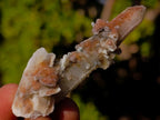 Natural Drusy Fairy Spirit Quartz Crystals x 70 From Boekenhouthoek, South Africa - Toprock Gemstones and Minerals 