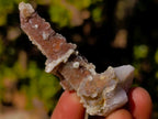 Natural Drusy Fairy Spirit Quartz Crystals x 70 From Boekenhouthoek, South Africa - Toprock Gemstones and Minerals 